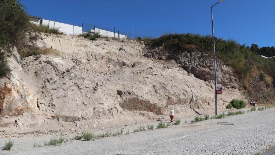 Terreno para Venda em Cristelos, Boim e Ordem