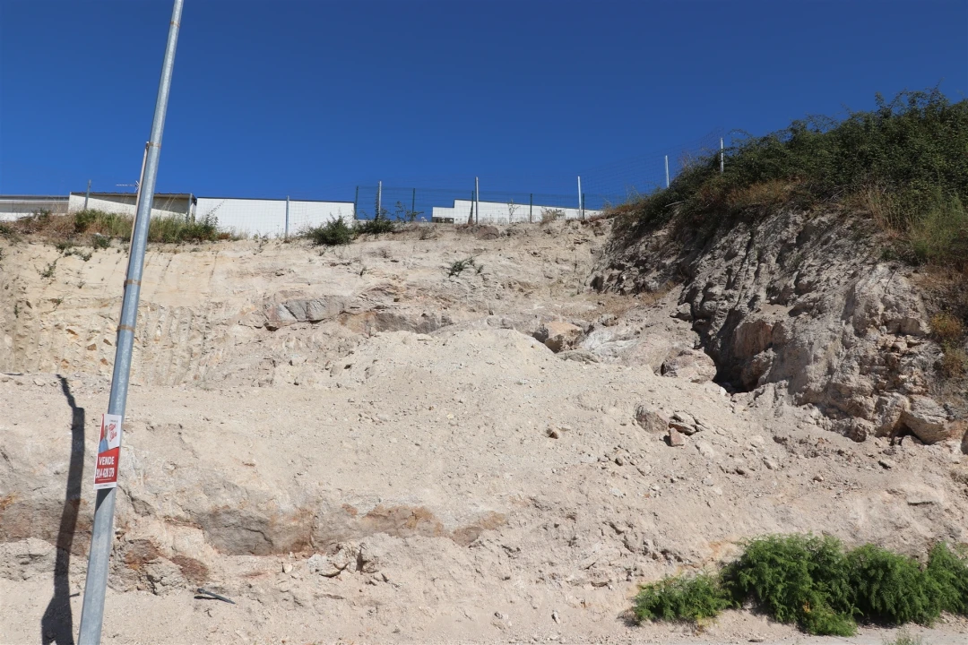 Terreno para Venda em Cristelos, Boim e Ordem Foto 3