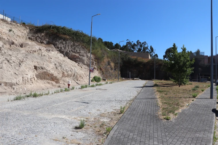 Terreno para Venda em Cristelos, Boim e Ordem Foto 8