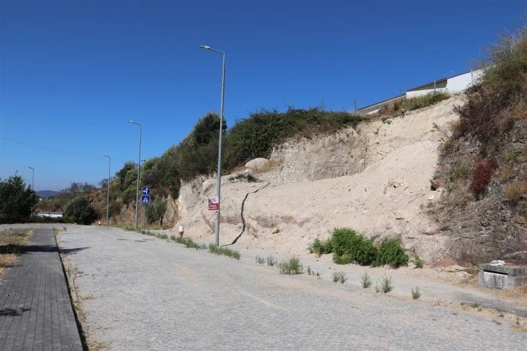 Terreno para Venda em Cristelos, Boim e Ordem Foto 4