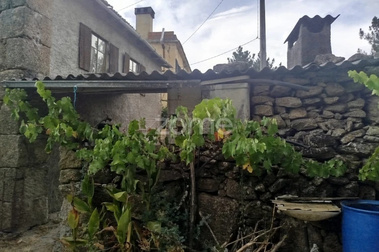 Quinta T2 para Venda em Gouveia (São Pedro e São Julião) Foto 4