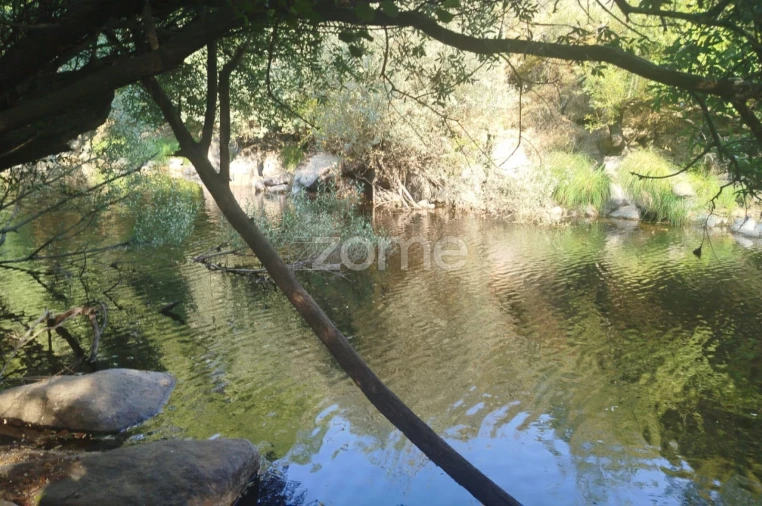 Quinta T2 para Venda em Gouveia (São Pedro e São Julião) Foto 22