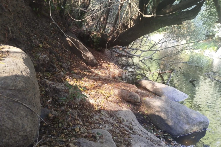 Quinta T2 para Venda em Gouveia (São Pedro e São Julião) Foto 25