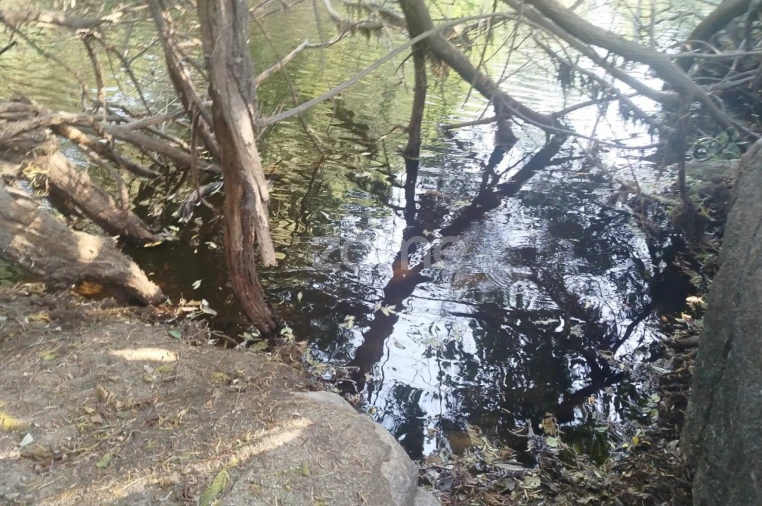 Quinta T2 para Venda em Gouveia (São Pedro e São Julião) Foto 28