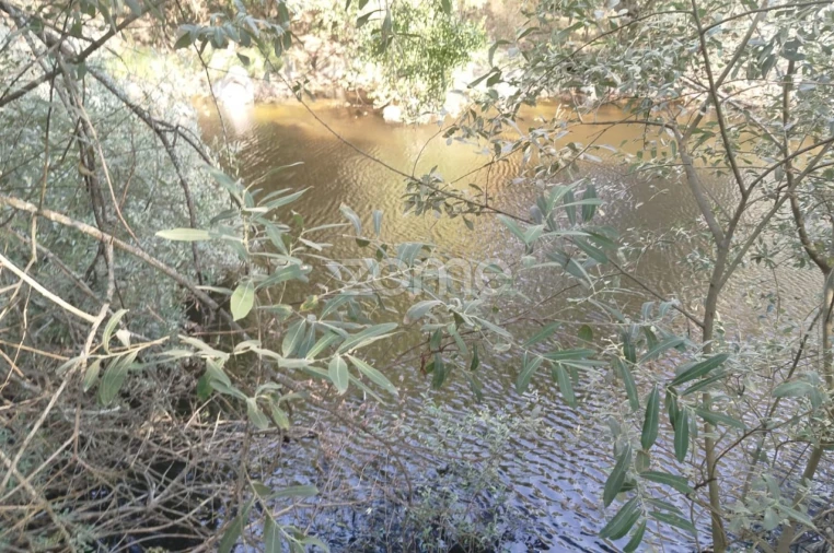 Quinta T2 para Venda em Gouveia (São Pedro e São Julião) Foto 30