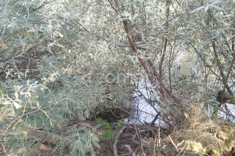 Quinta T2 para Venda em Gouveia (São Pedro e São Julião) Foto 32