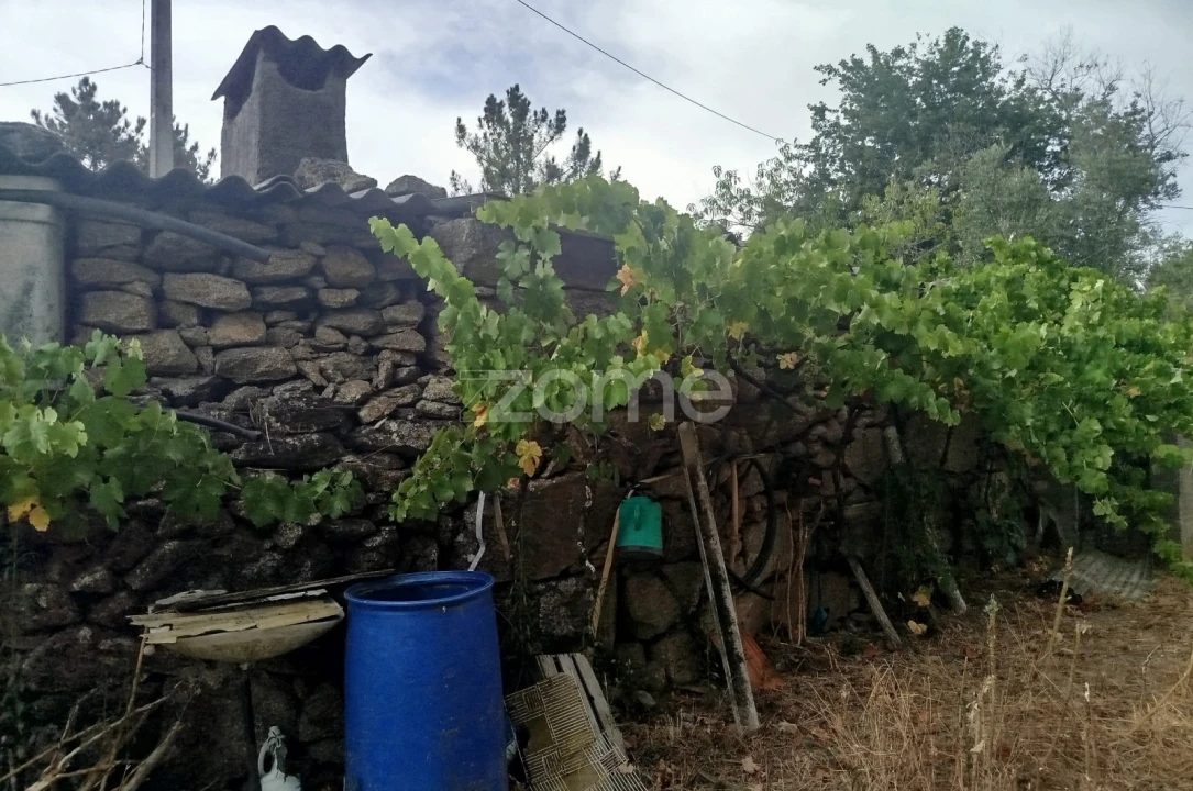 Quinta T2 para Venda em Gouveia (São Pedro e São Julião) Foto 5