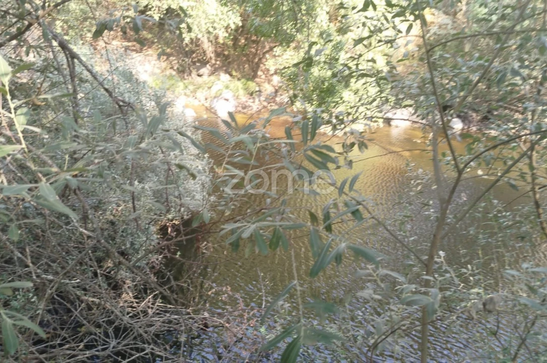 Quinta T2 para Venda em Gouveia (São Pedro e São Julião) Foto 29