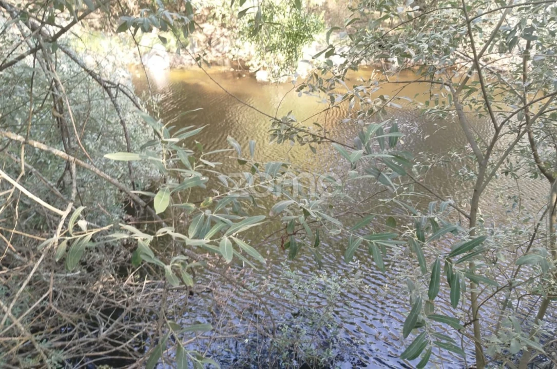 Quinta T2 para Venda em Gouveia (São Pedro e São Julião) Foto 30