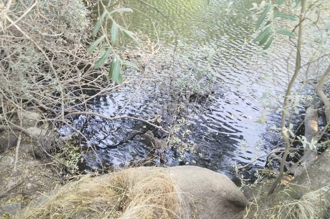 Quinta T2 para Venda em Gouveia (São Pedro e São Julião) Foto 31