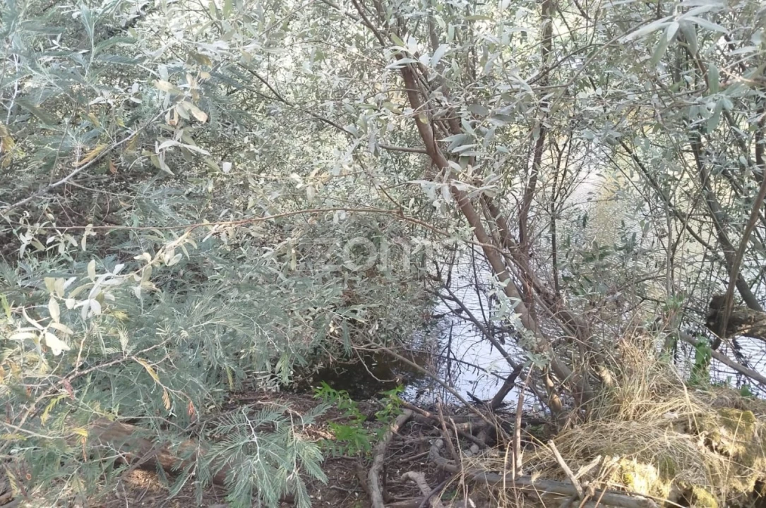 Quinta T2 para Venda em Gouveia (São Pedro e São Julião) Foto 32