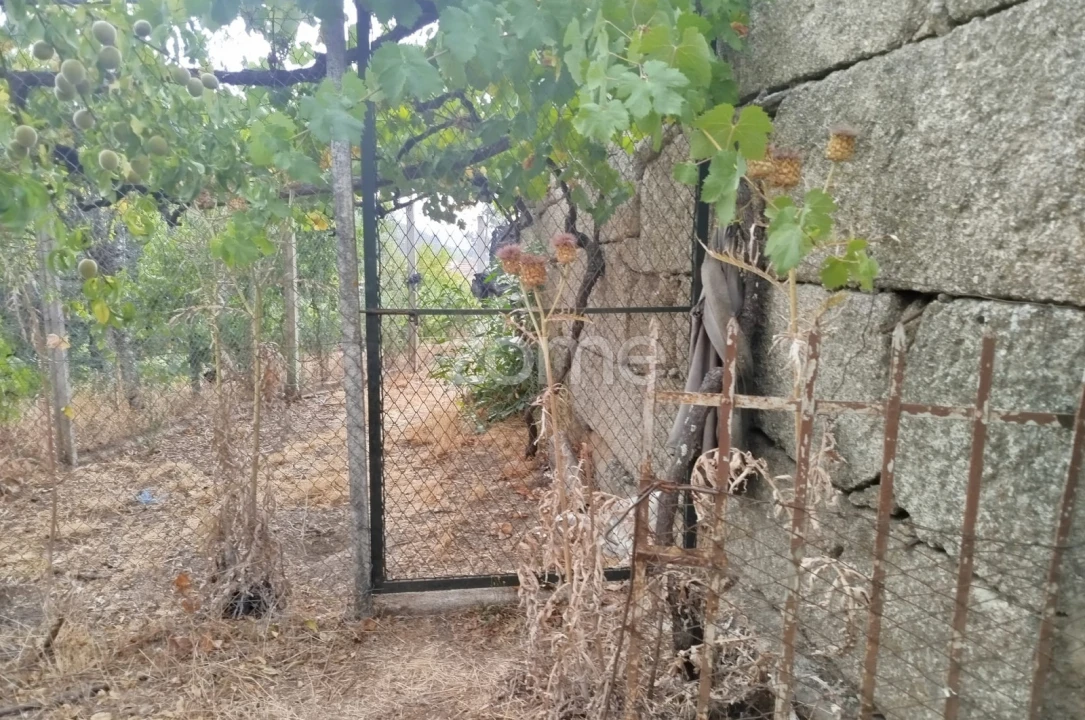 Quinta T2 para Venda em Gouveia (São Pedro e São Julião) Foto 15