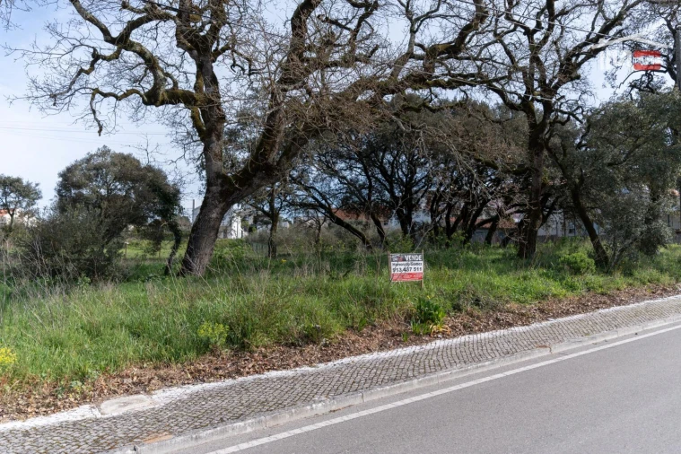 Terreno para Venda em Fatima Foto 6