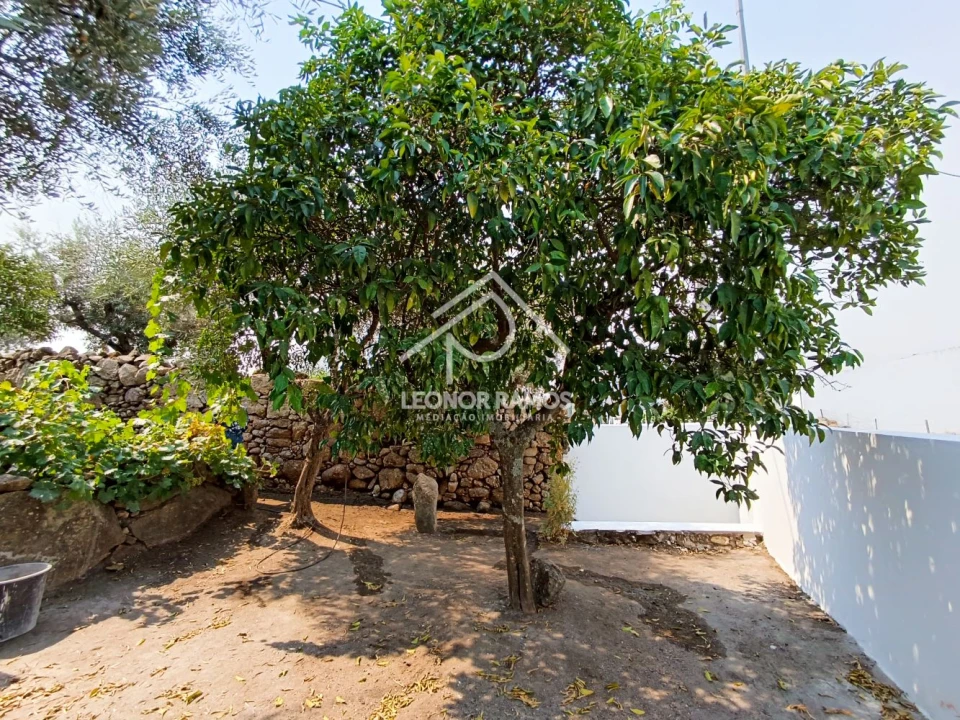 Moradia T3 para Venda em Castelo Branco Foto 44