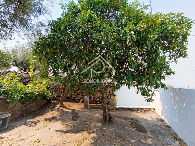 Moradia T3 para Venda em Castelo Branco Foto 44