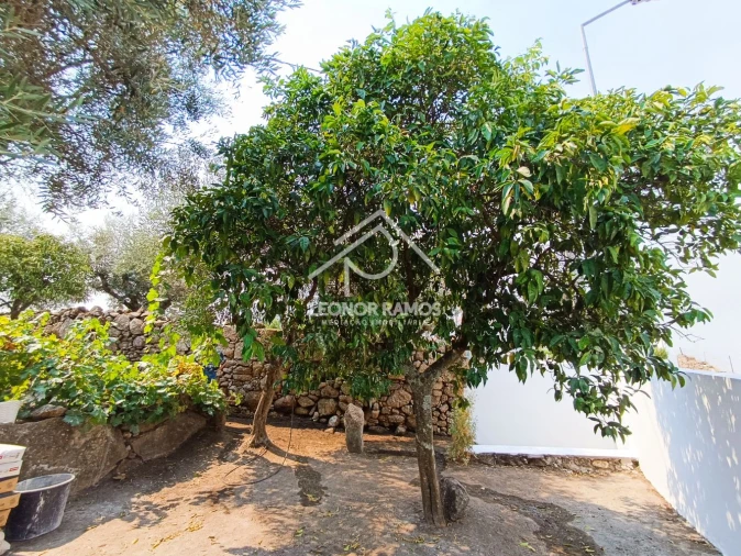 Moradia T3 para Venda em Castelo Branco Foto 45