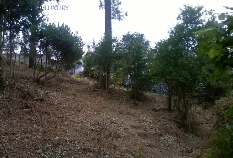 Terreno para Venda em Gandra Foto 3