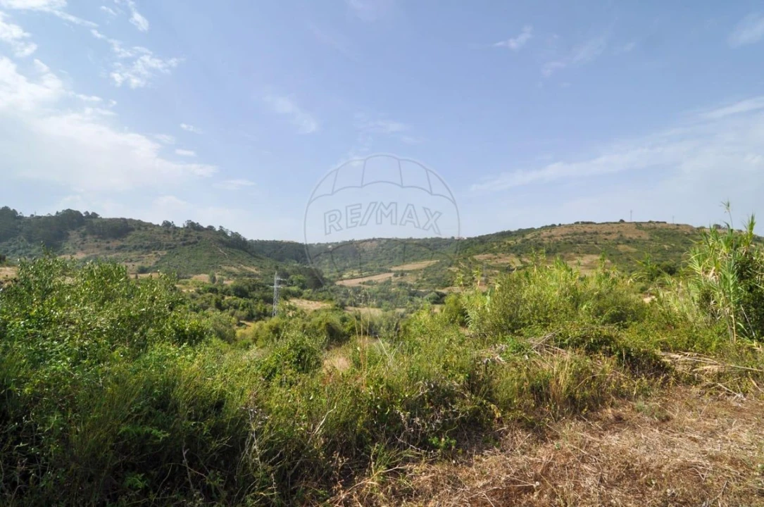 Terreno para Venda em Igreja Nova e Cheleiros Foto 4