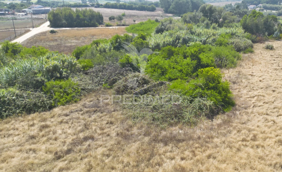 Quinta T1 para Venda em Boavista dos Pinheiros Foto 16