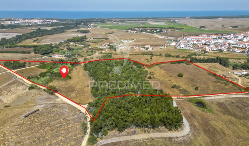 Quinta T1 para Venda em Boavista dos Pinheiros Foto 6