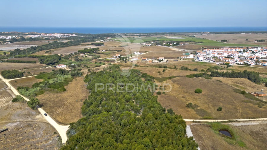 Quinta T1 para Venda em Boavista dos Pinheiros Foto 3