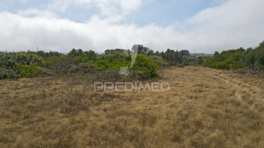 Quinta T1 para Venda em Boavista dos Pinheiros Foto 17