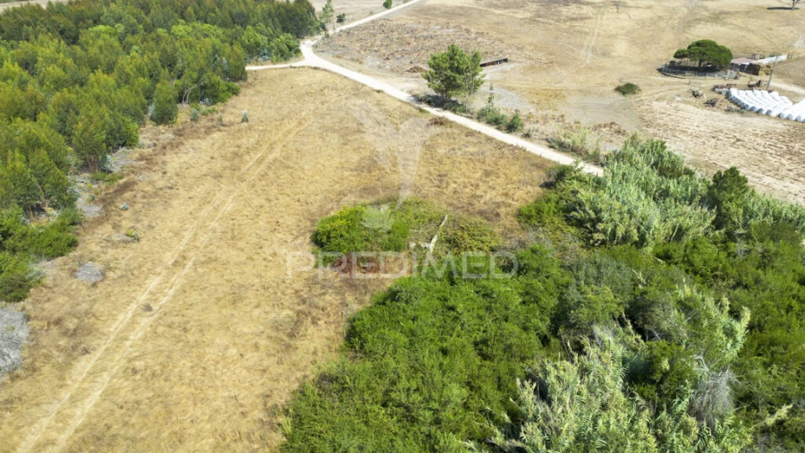 Quinta T1 para Venda em Boavista dos Pinheiros Foto 13