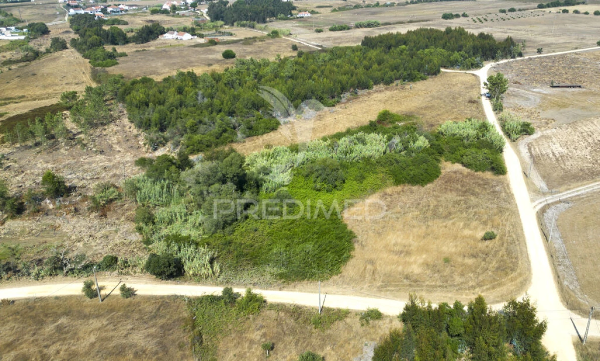 Quinta T1 para Venda em Boavista dos Pinheiros Foto 18
