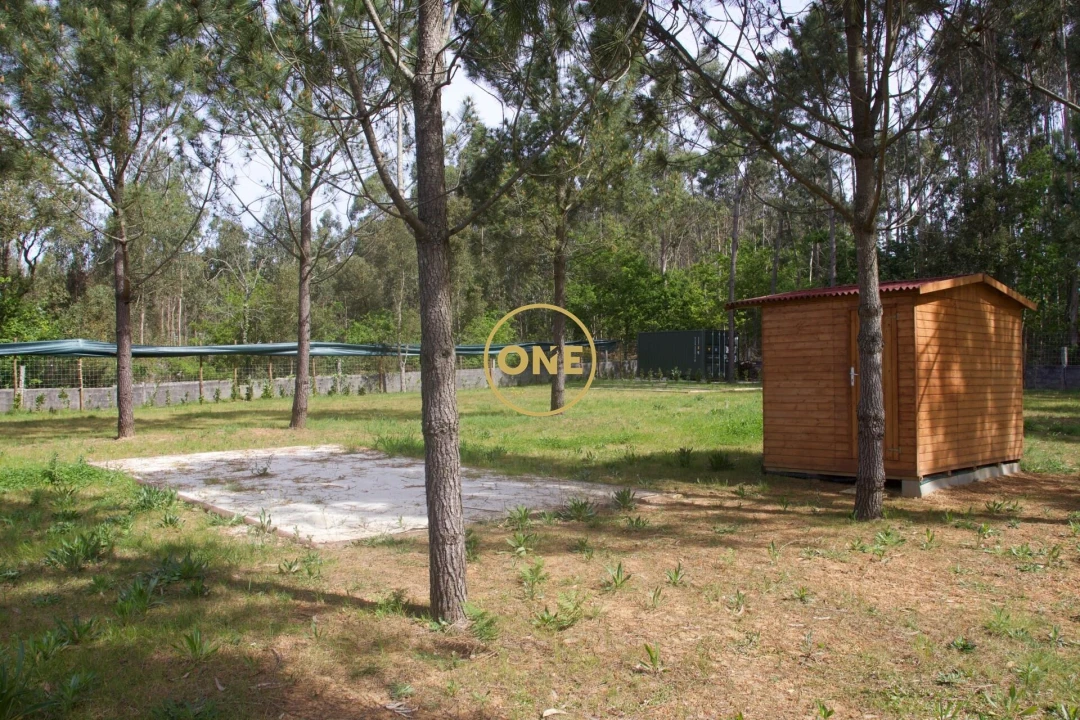 Terreno para Venda em São Felix da Marinha Foto 6