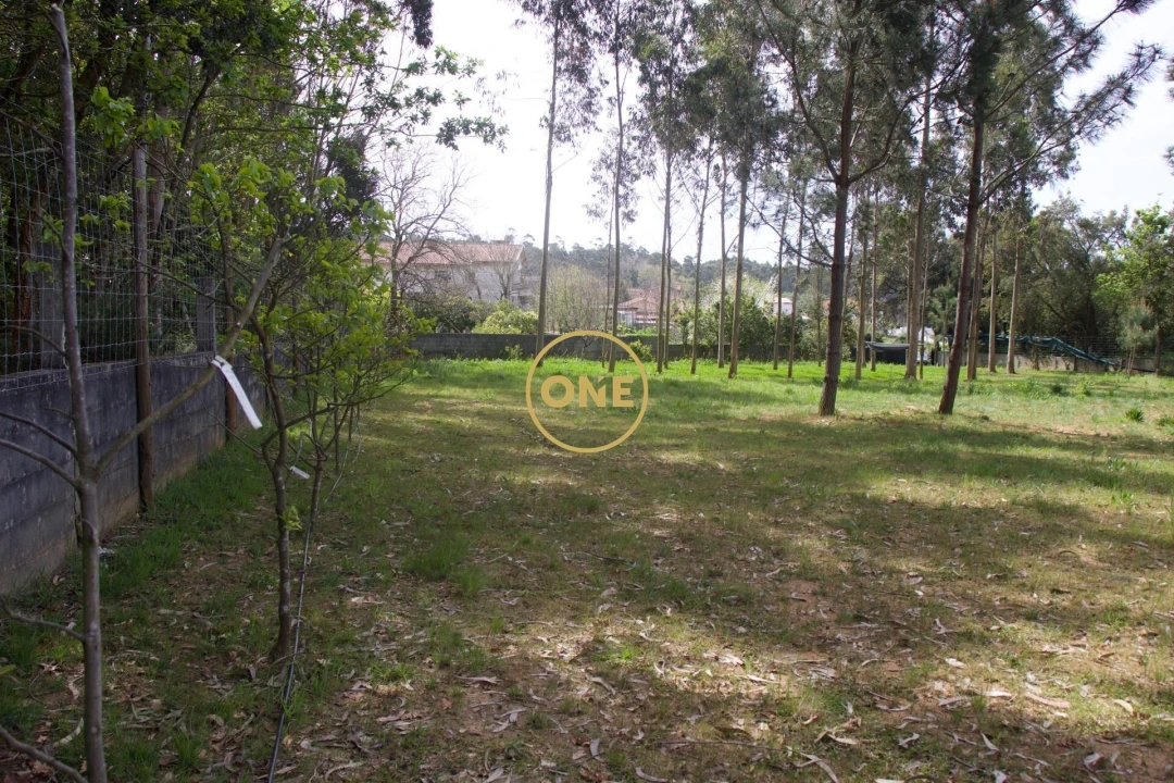 Terreno para Venda em São Felix da Marinha Foto 9