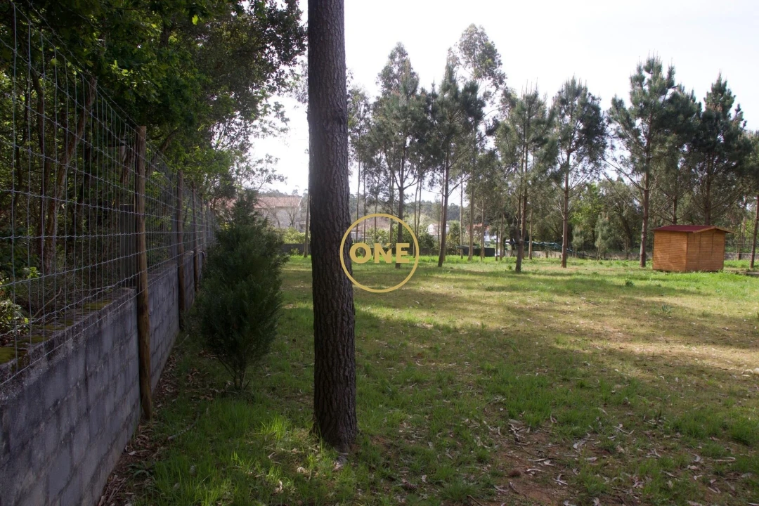 Terreno para Venda em São Felix da Marinha Foto 7