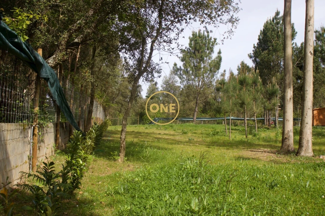 Terreno para Venda em São Felix da Marinha Foto 4