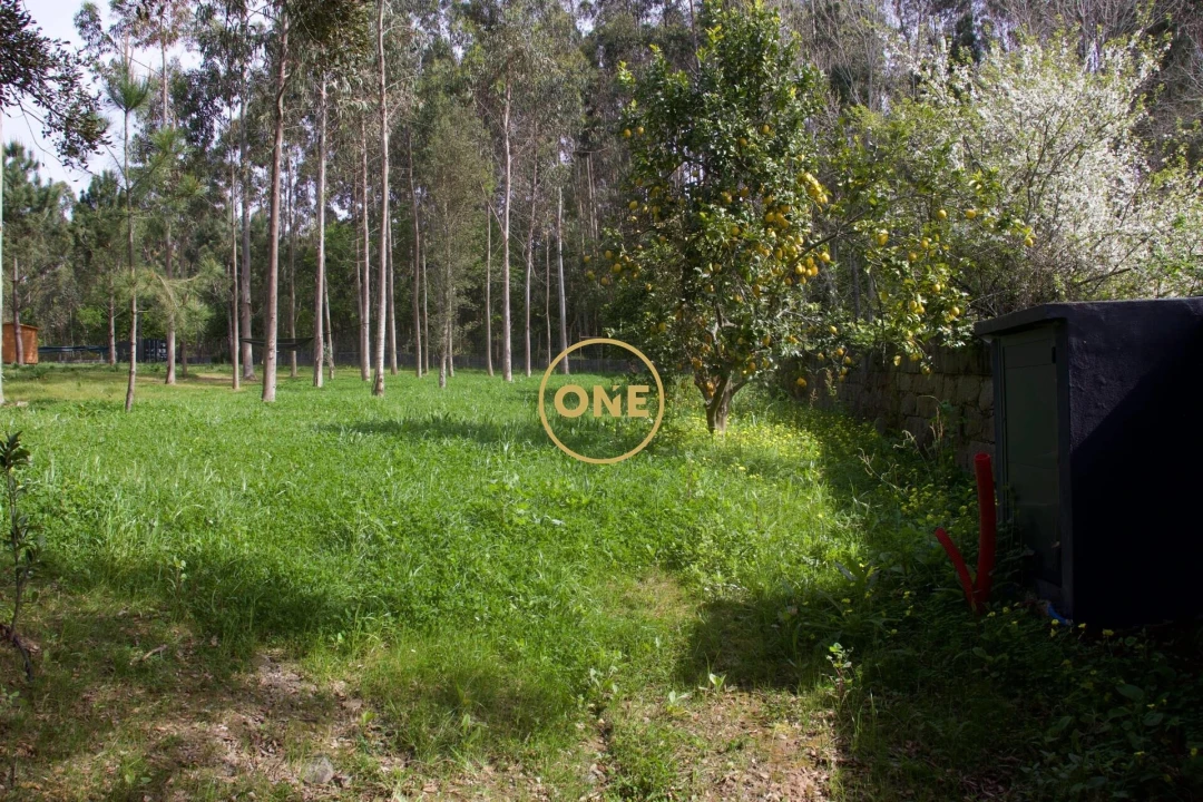 Terreno para Venda em São Felix da Marinha Foto 2