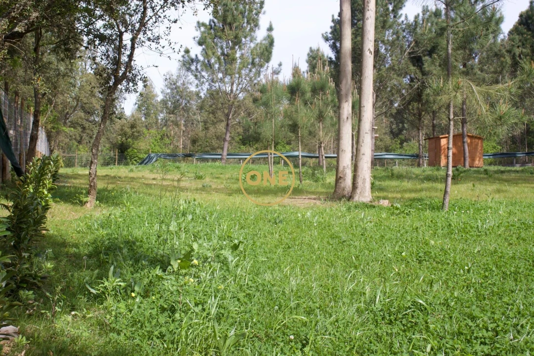 Terreno para Venda em São Felix da Marinha Foto 3