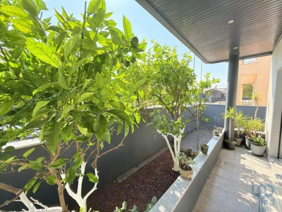 Moradia T3 para Venda em Campo e Sobrado Foto 4