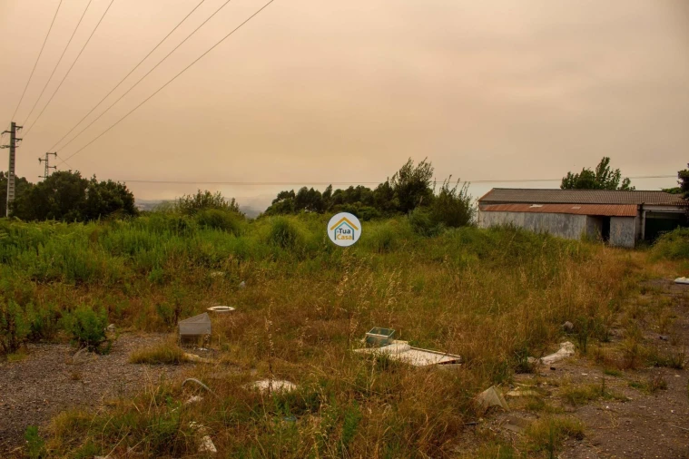 Armazém para Venda em Sanguedo Foto 7