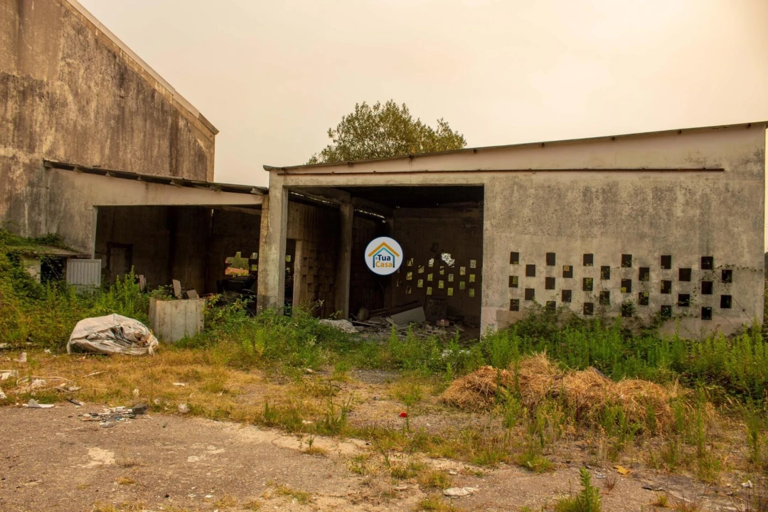 Armazém para Venda em Sanguedo Foto 8