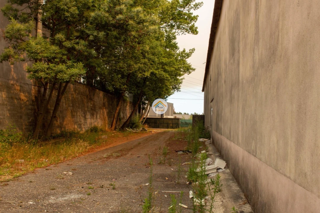 Armazém para Venda em Sanguedo Foto 9