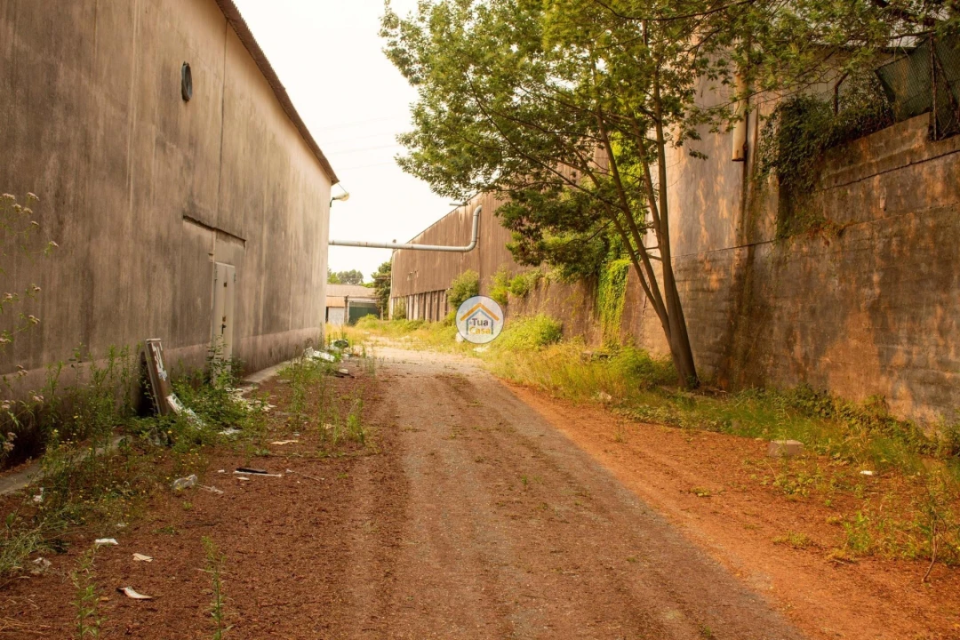 Armazém para Venda em Sanguedo Foto 10