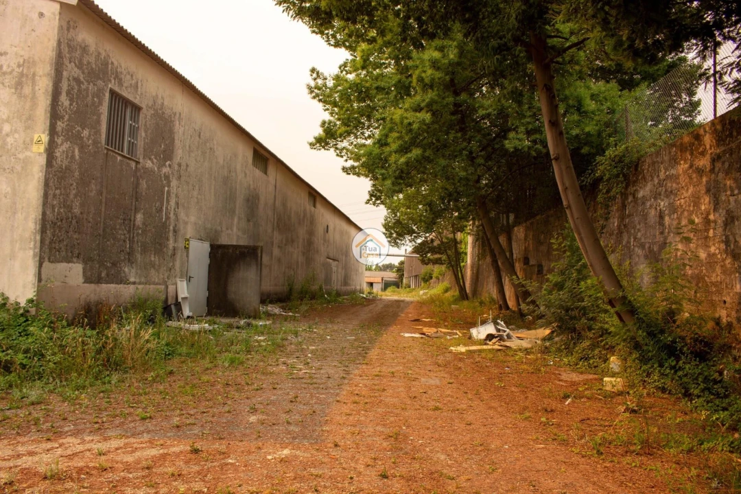 Armazém para Venda em Sanguedo Foto 13