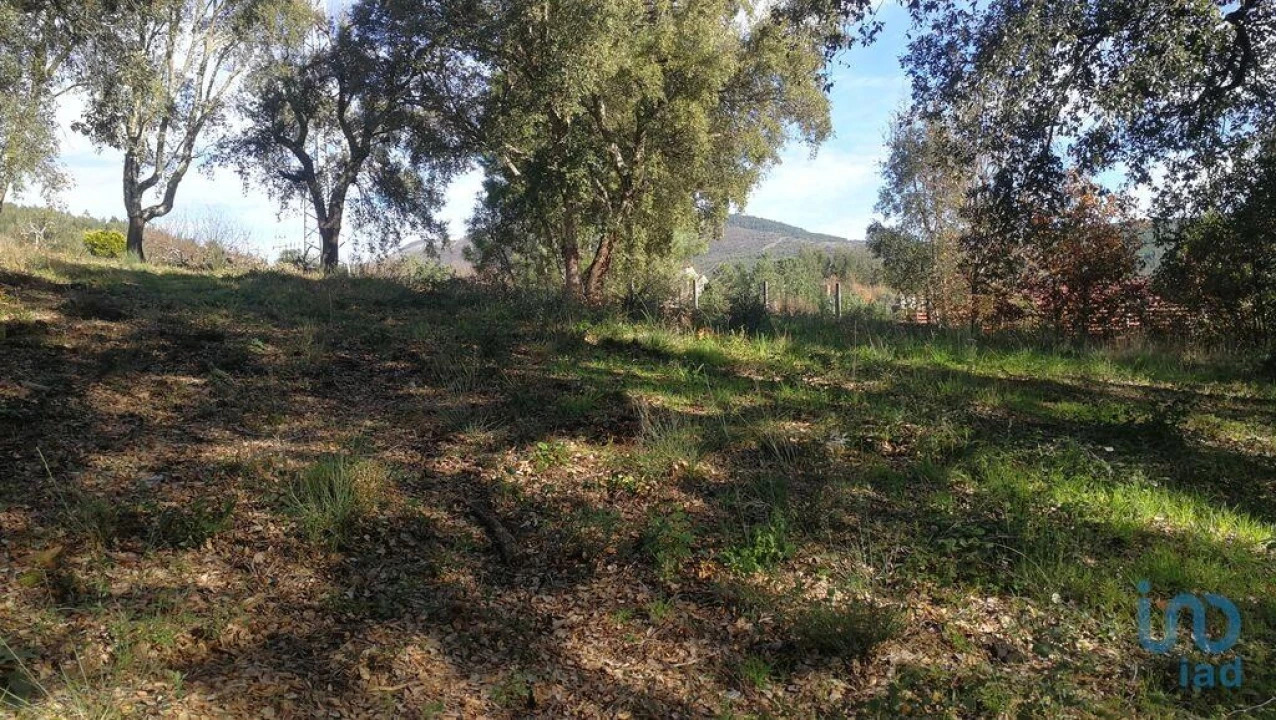 Terreno para Venda em Castanheira de Pêra e Coentral Foto 7