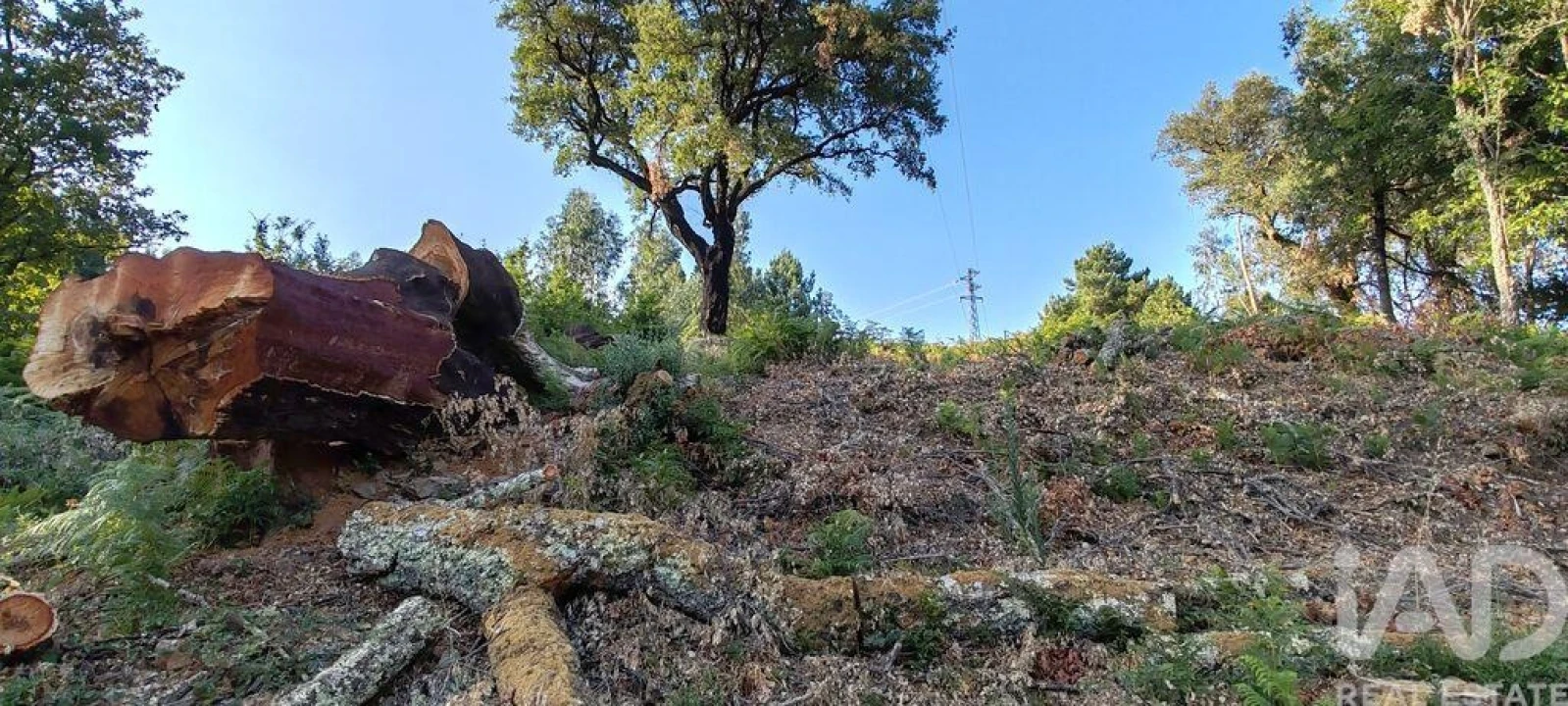 Terreno para Venda em Castanheira de Pêra e Coentral Foto 23