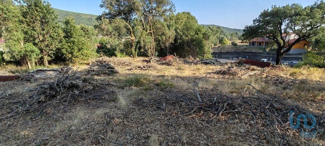 Terreno para Venda em Castanheira de Pêra e Coentral Foto 10