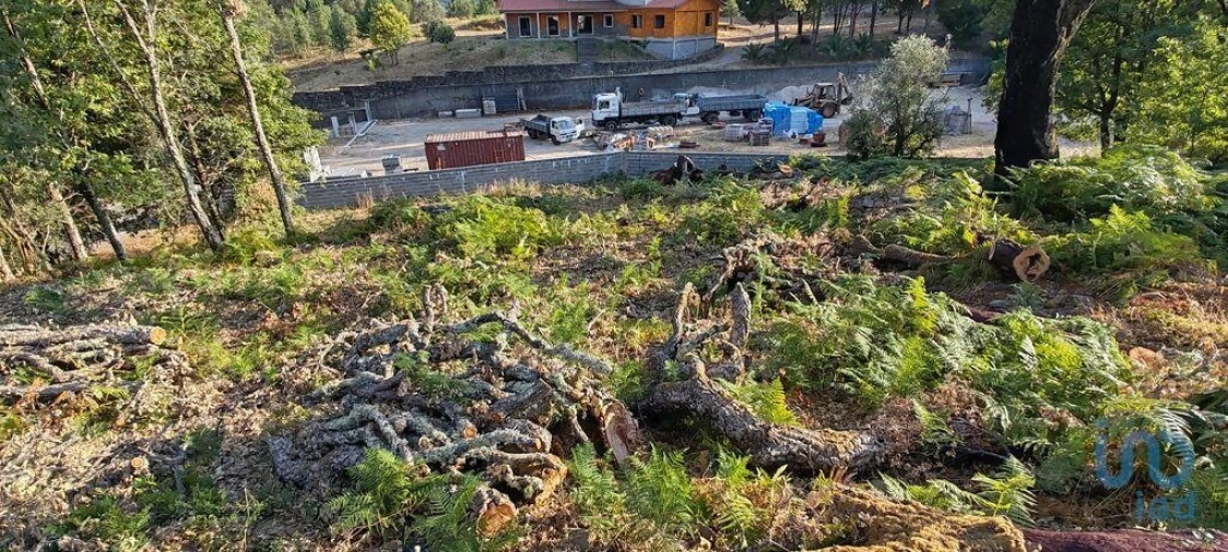 Terreno para Venda em Castanheira de Pêra e Coentral Foto 14