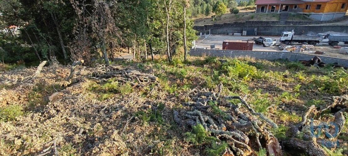 Terreno para Venda em Castanheira de Pêra e Coentral Foto 13