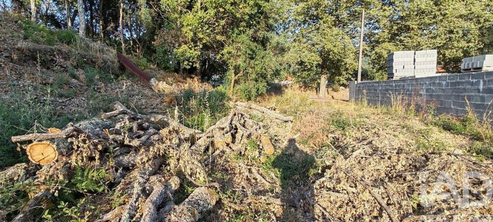 Terreno para Venda em Castanheira de Pêra e Coentral Foto 24