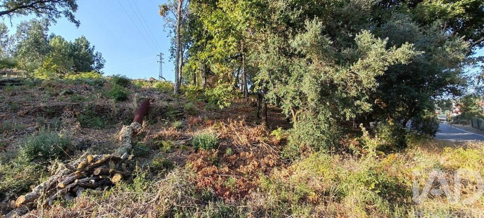 Terreno para Venda em Castanheira de Pêra e Coentral Foto 21