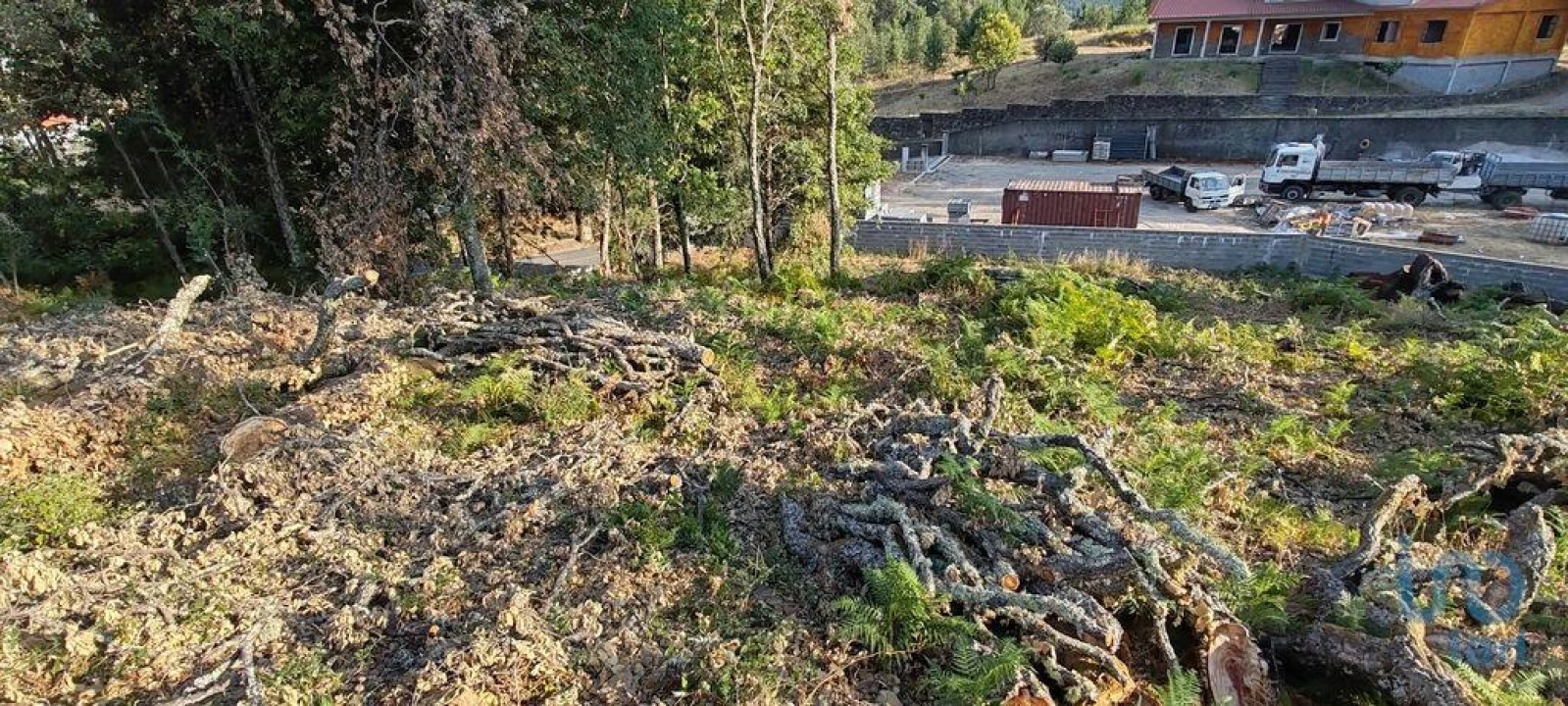 Terreno para Venda em Castanheira de Pêra e Coentral Foto 13