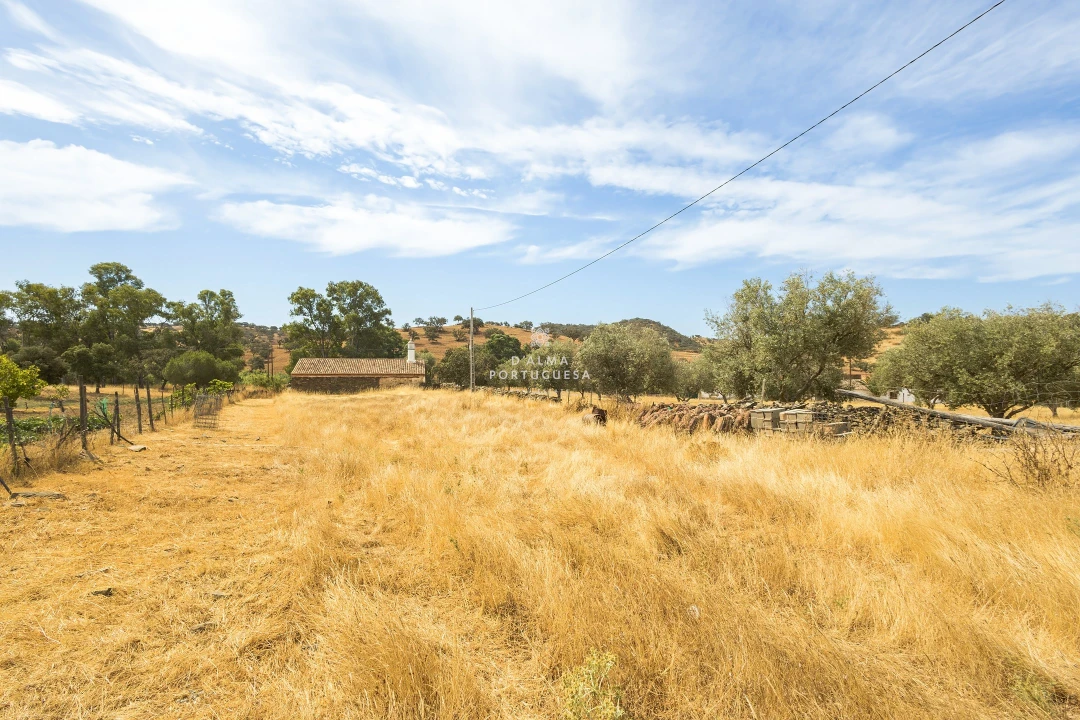 Moradia T4 para Venda em Almodôvar e Graça dos Padrões Foto 8