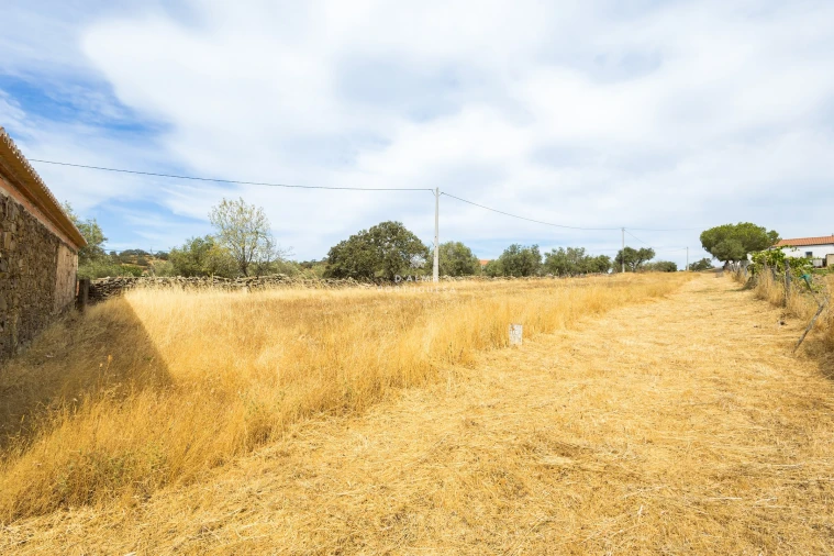 Moradia T4 para Venda em Almodôvar e Graça dos Padrões Foto 9